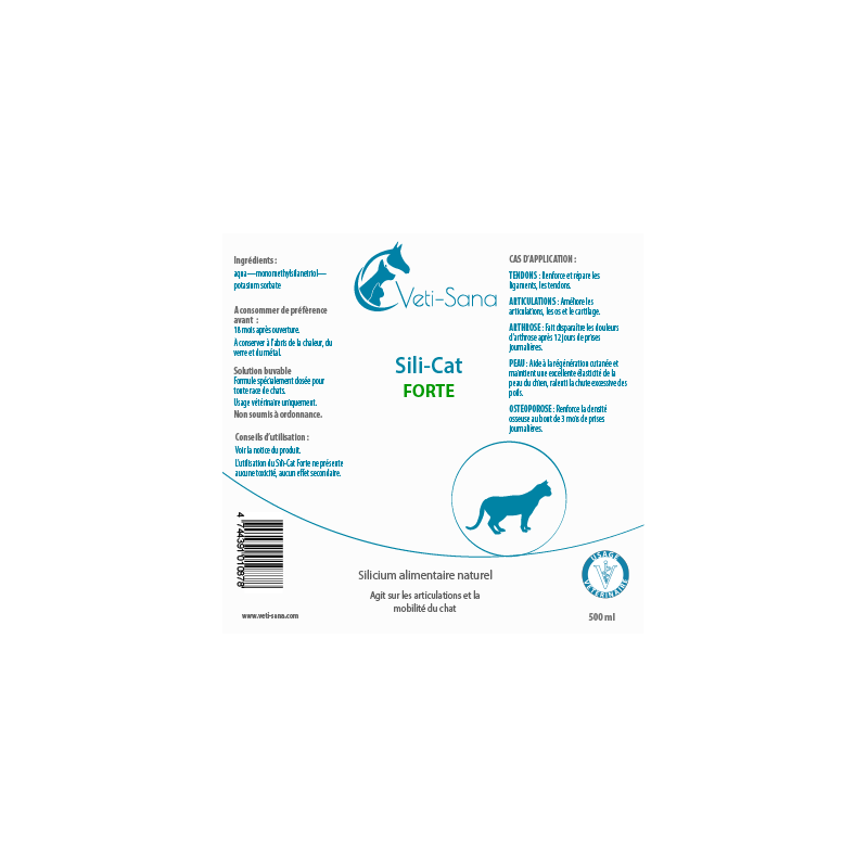 Сили Кэт Форте