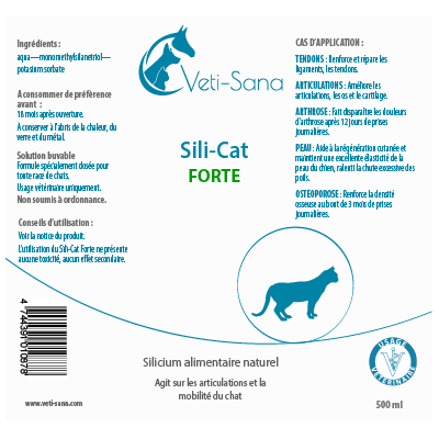 Сили Кэт Форте