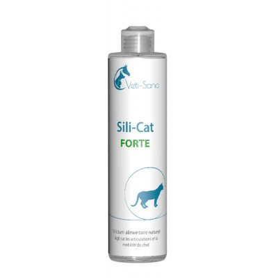 Сили Кэт Форте