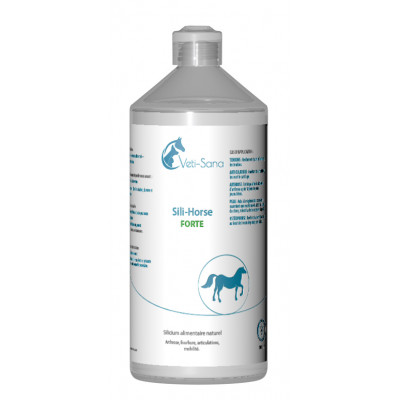 Сили Хорс Форте